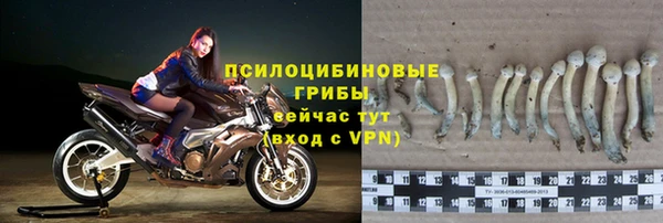 2c-b Богданович