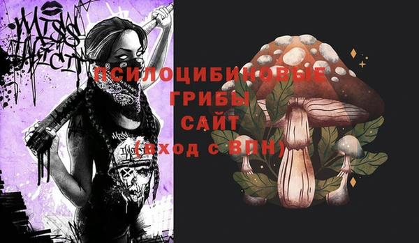 2c-b Богданович