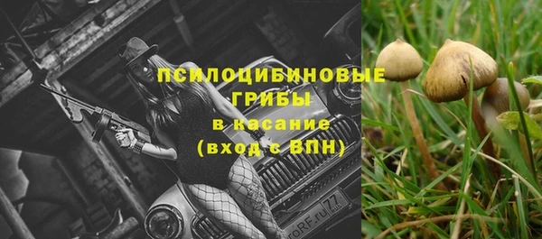 a pvp Богородицк