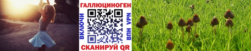 blacksprut tor  Коряжма  Галлюциногенные грибы Psilocybine cubensis  купить наркоту 